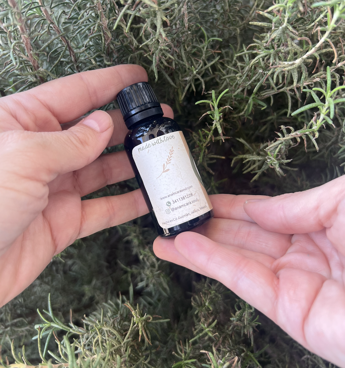 Tintura madre Diente de león